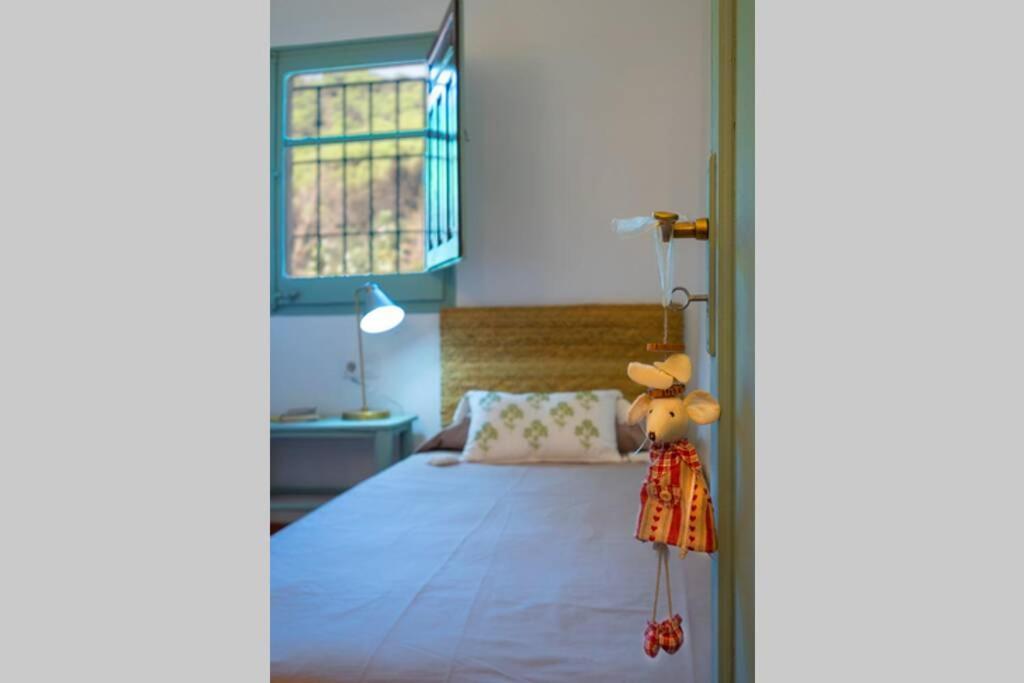 Casa Rural Mas Del Gall - Casa Nova, Barcelona Villa ตอร์เดรา ภายนอก รูปภาพ